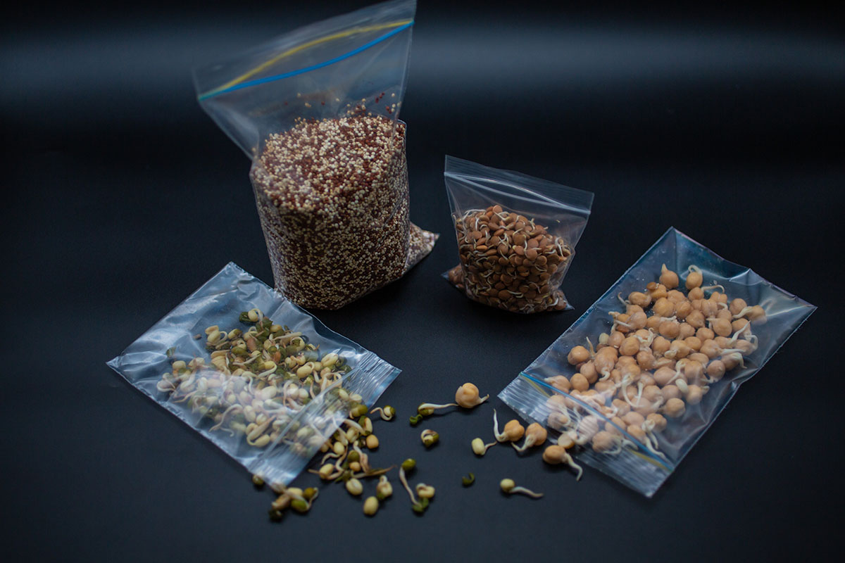 resealable-zipper-bags-food-storage-bulk